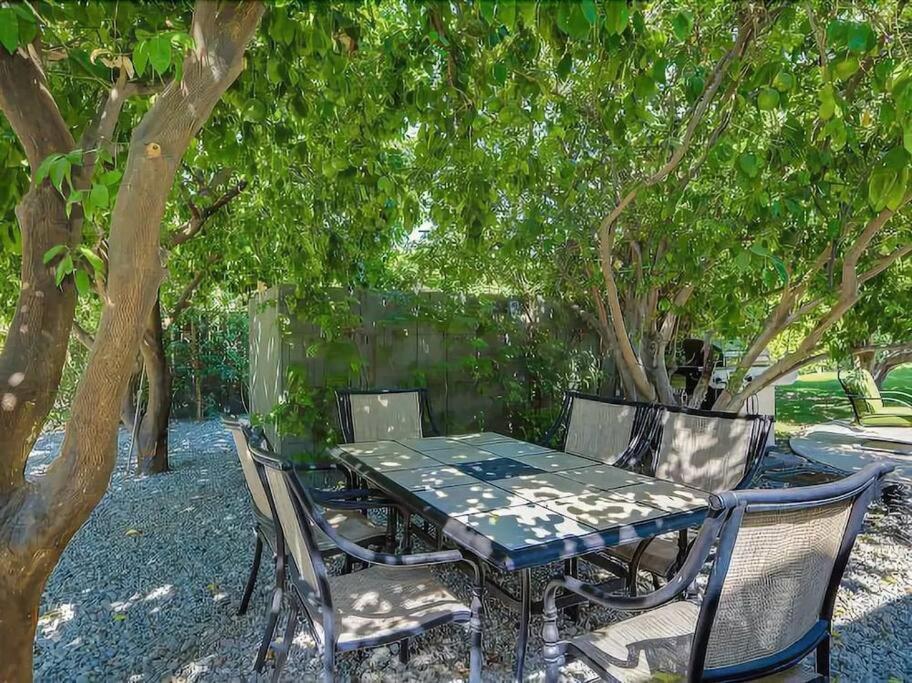 Serene 4 Bed 3 Bath Heated Pool Natural Backyard Heart Of パーム・スプリングス エクステリア 写真